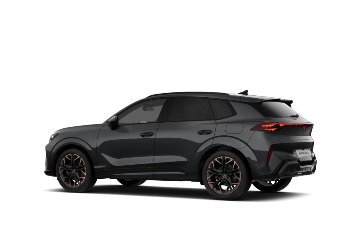 Cupra Terramar 1.5 Hybrid Business 150cv Dsg - esterno 3 di 3 - miniatura